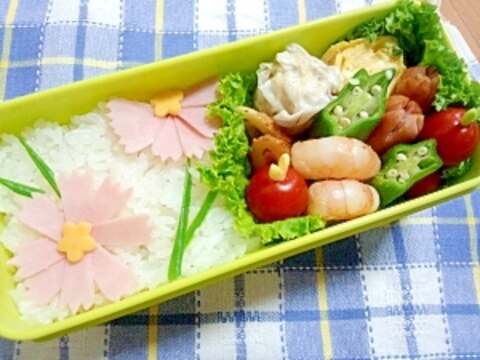 簡単キャラ弁☆コスモスのお弁当♪